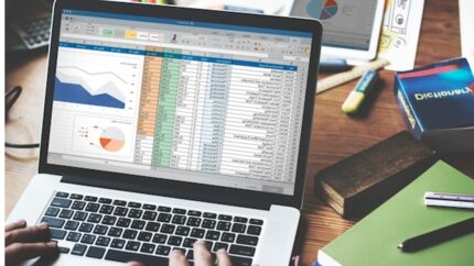 Data Analysis and Visualization with Excel