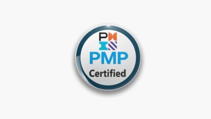Project Management Professional (PMP) Based on PMBOK7