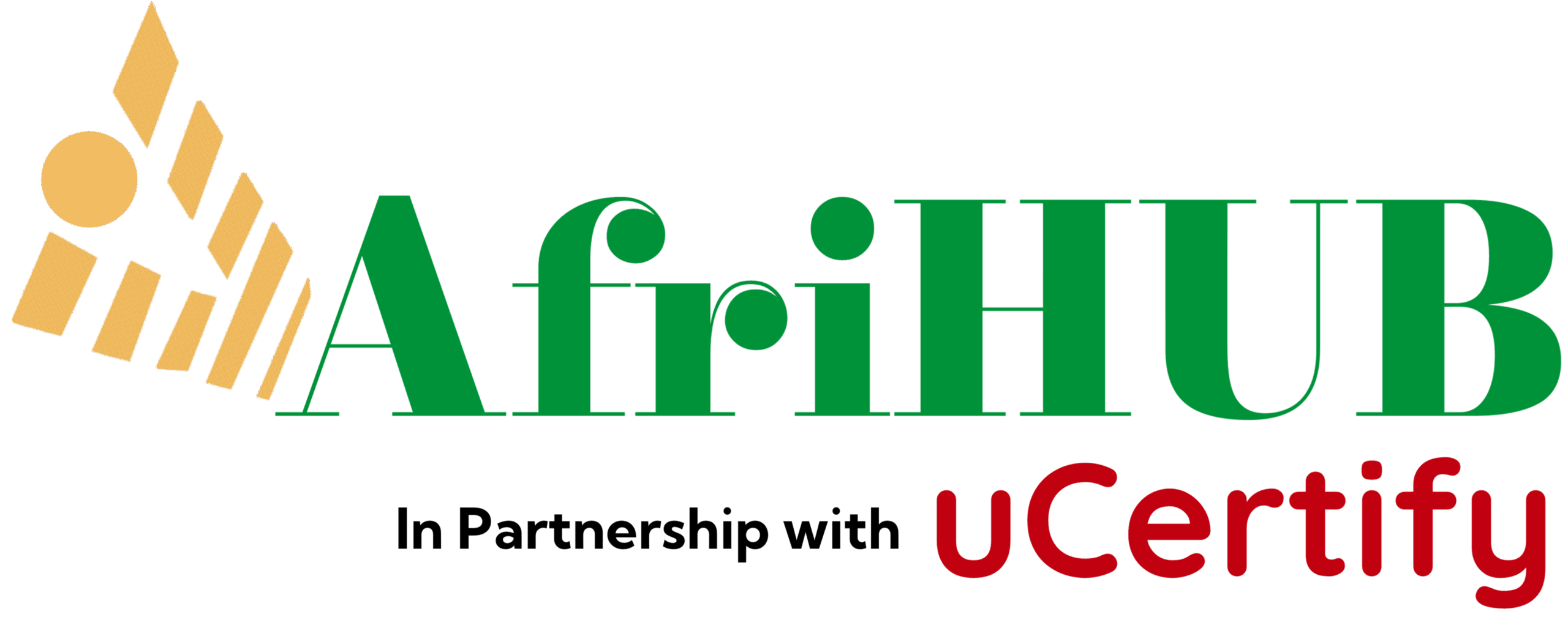AfriHUB ICT Courses